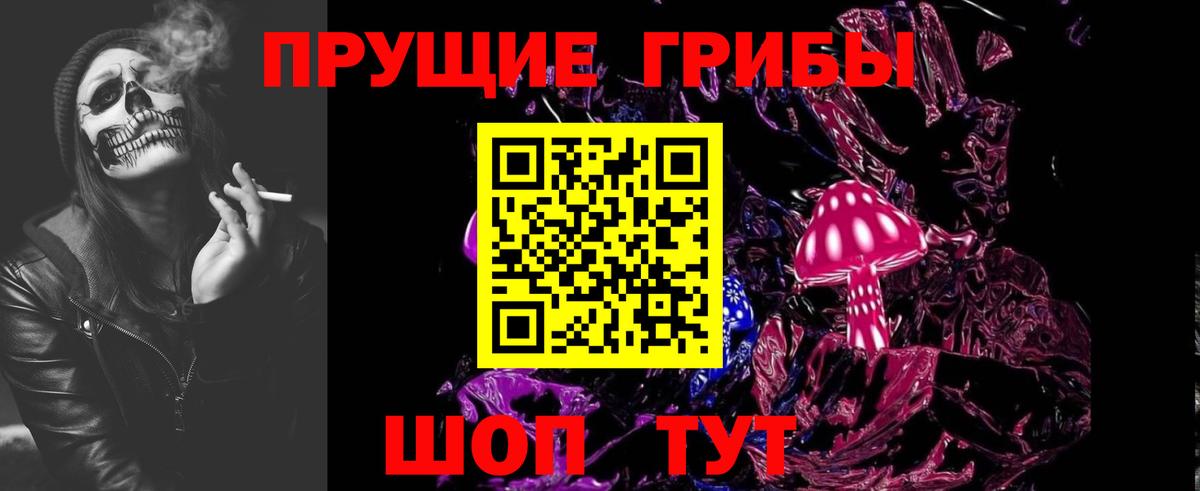 магазин    Псилоцибиновые грибы прущие грибы  Златоуст  Вход с VPN  Псилоцибиновые грибы Psilocybine cubensis 